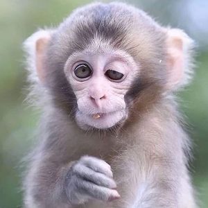 Meet your Posher, Esther